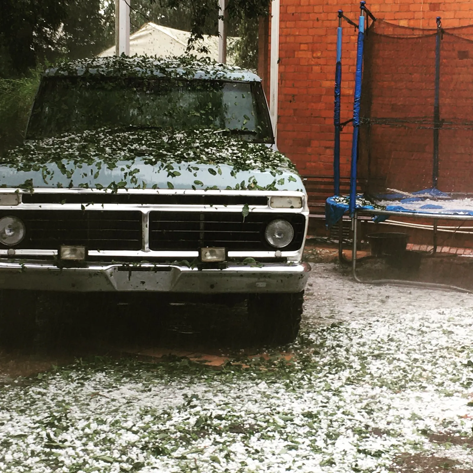 1976 Ford F100