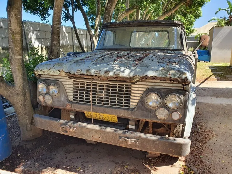 1966 Dodge D300