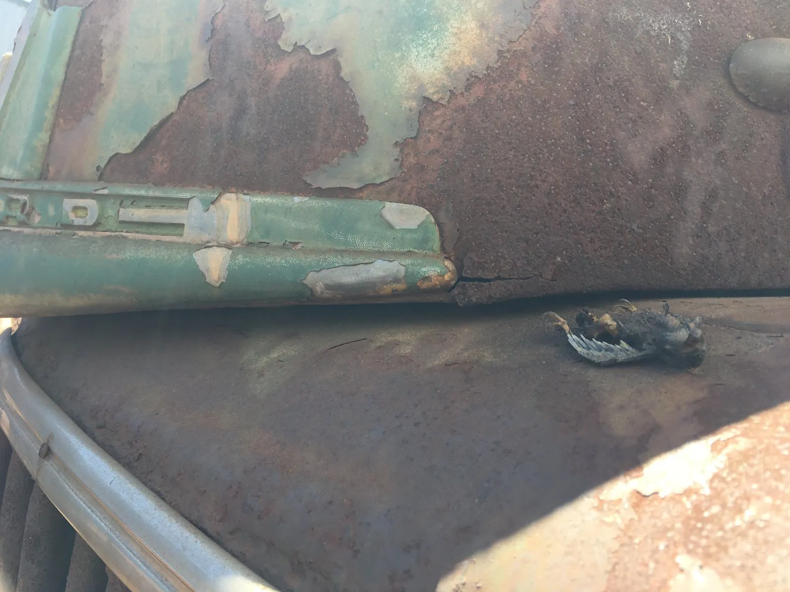 1947 Ford F-1 — photo 38