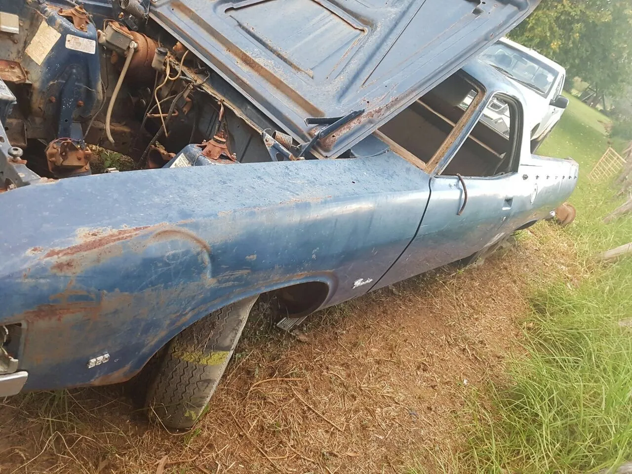 1974 Ford Ranchero — photo 350